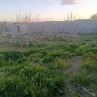فروش-باغ-با-حصار-به-متراژ490متر