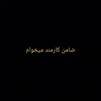 ضامن وام