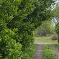 فروش-زمین-در-شهمیرزاد
