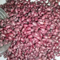 لوبیا قرمز