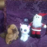 عروسک|اسباب‌‌بازی|تهران, هروی|دیوار