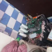 سردوزپروانه سالم