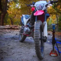 تریل برمودا xr