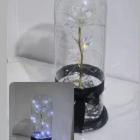 لوازم منزل|صنایع دستی و سایر لوازم تزئینی|پرند, فاز ۱|دیوار