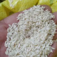 برنج عنبر بو شوشتر|خوردنی و آشامیدنی|پرند, فاز ۵|دیوار