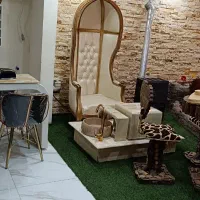 اجاره صندلی