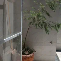 منزل-دو-طبقه-و-نیم