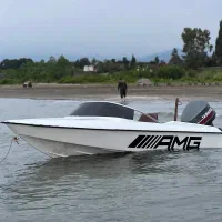 قایق فرمونی
