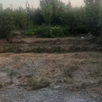 باغ به متراژ ۷۰۰ متر مربع