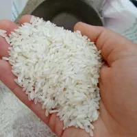 برنج پاکستانی بهترین برنج کیلویی 155