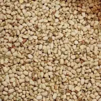 گندم و لوبیا|خوردنی و آشامیدنی|اهواز, اسماعیلیه|دیوار