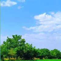 یک-قطعه-زمین1000متری