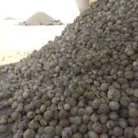 خرید موسیر کوهی و دیمی