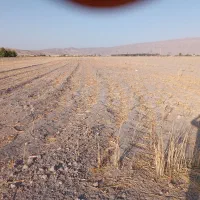 2000|فروش دفتر صنعتی، کشاورزی، تجاری|فیروزآباد (فارس), |دیوار