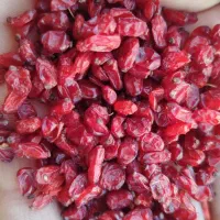 زرشک|خدمات باغبانی و درختکاری|قائن, |دیوار