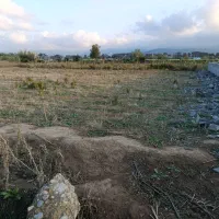 فروش زمین۵۰۰متری گرگان،فیض آباد|فروش زمین و ملک کلنگی|گرگان, |دیوار