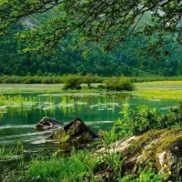 کلینیک ترک اعتیاد رویش امید