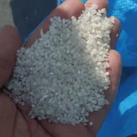 برنج|عمده‌فروشی|کرخه, |دیوار