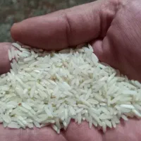 برنج طارم هاشمی