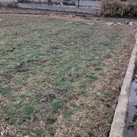 فروش-زمین-الحاق-به-بافت