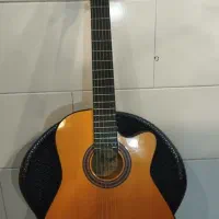 گیتار دیاموند