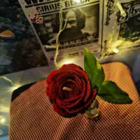 انواع شمع و گیفت مراسمات  و نماد سال