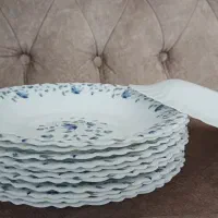 بشقاب آرکوپال امارات