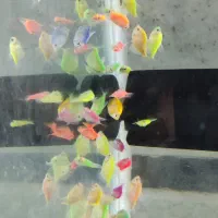 آکواریوم دریا ماهی جدید رسید