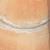 آخور.دامداری.وگله دانی|حیوانات مزرعه|برازجان, |دیوار