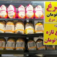 بمب اول هفته،ران فقط ۹۹|خدمات پذیرایی، مراسم|یزد, |دیوار