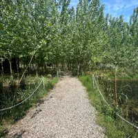 سرمایه گذاری ای مطمئن در کنار ما