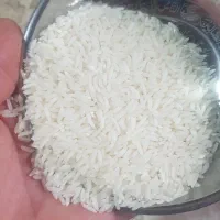 برنج هاشمی فوق العاده علاء