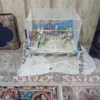 2عدد قفس