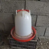 آبخوری مرغ