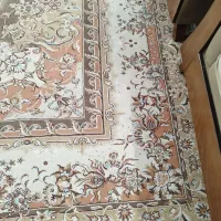 قالی ۱۲ متری جفت|فرش|علی‌آباد کتول, |دیوار