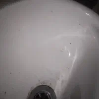 تعدادئ لوازم|کیف، کفش، کمربند|گناباد, |دیوار