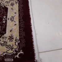 پادری ۷۰۰ شانه زرشکی|پادری|کرج, اتحاد|دیوار