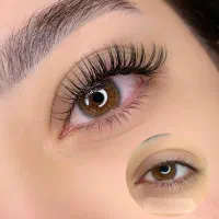 نیازمند مدل کاشت مژه هیدن خیابان استاد فلاطوری