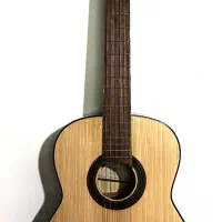 گیتار پولاریس