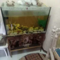 آکواریوم