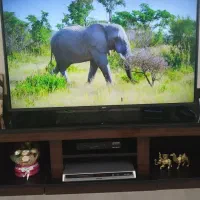 تلوزیون ال جی