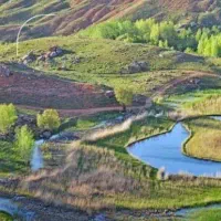 منزل اجاره ای در نوک آباد (چاه شور)