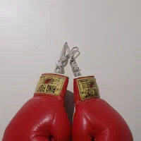 دستکش بوکس کلکسیونی