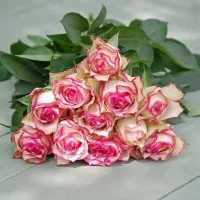 استخدام بانوان در صنعت بیمه