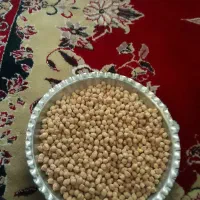 سلام نخود امسال تمیز وپزا