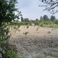 زمین کشاورزی محدوده خط قدیم گزشرقی