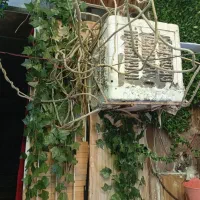 منزل مبله(کلبه آلونک)۱ ساعت ۲۵۰ دو ساعت ۳۵۰|اجارهٔ کوتاهمدت آپارتمان و سوئیت|شیراز, پودنک|دیوار