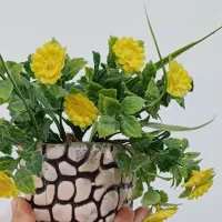 شلف و گل تزئینی|کتابخانه، شلف، قفسههای دیواری|بوشهر, |دیوار