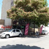 نیروی کار خانم ( کافی شاپ )