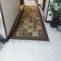 فرش و قالیچه|گلیم، جاجیم، گبه|شاهین‌شهر, مسکن مهر|دیوار